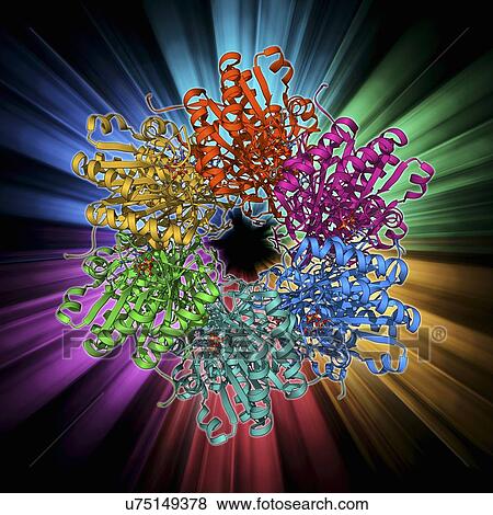 Stock Illustration - Cyanobacterial circadian clock protein. Fotosearch