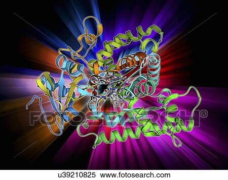 Cytochrome P450 and fluconazole View Large Illustration Stock Illustration - Cytochrome P450 and fluconazole. Fotosearch