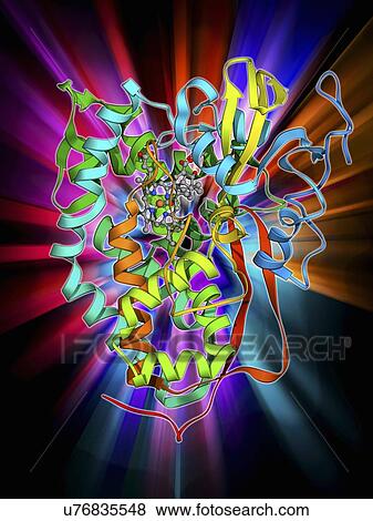 Stock Illustration - Cytochrome P450 complex. Fotosearch