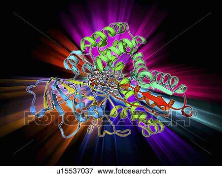 Stock Illustration - Cytochrome P450. Fotosearch