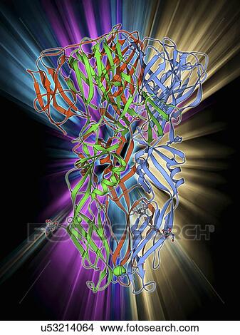 Stock Illustration - Dengue virus surface protein molecule. Fotosearch