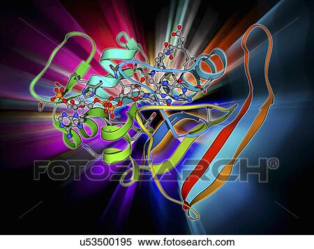 Stock Illustration - Dihydrofolate reductase molecule. Fotosearch