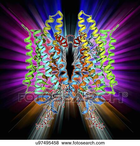 Stock Illustration - DNA and MECP2 complex, molecular model. Fotosearch