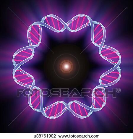 DNA (Deoxyribonucleic acid), artwork View Large Illustration Drawing - DNA (Deoxyribonucleic acid), artwork. Fotosearch