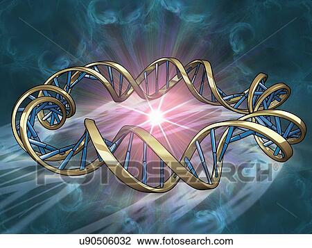 DNA (Deoxyribonucleic acid), artwork View Large Illustration Drawing - DNA (Deoxyribonucleic acid), artwork. Fotosearch