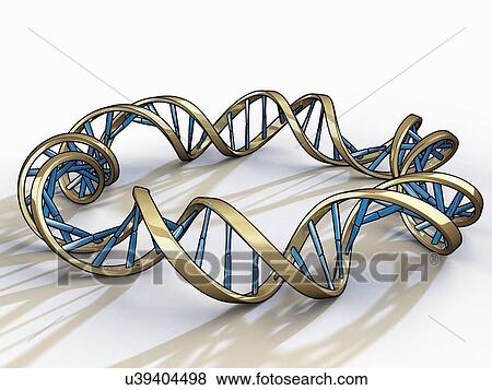 Stock Illustration - DNA (Deoxyribonucleic acid), artwork. Fotosearch