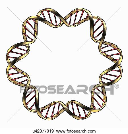 Stock Illustration - DNA (Deoxyribonucleic acid), artwork. Fotosearch