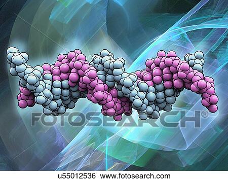 DNA (Deoxyribonucleic acid), artwork View Large Illustration Stock Illustration - DNA (Deoxyribonucleic acid), artwork. Fotosearch