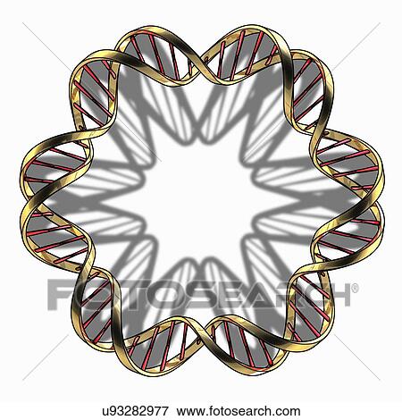 DNA (Deoxyribonucleic acid), artwork View Large Illustration Stock Illustration - DNA (Deoxyribonucleic acid), artwork. Fotosearch