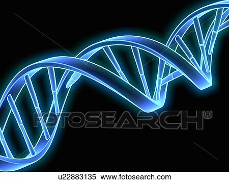 DNA (Deoxyribonucleic acid) strand, artwo View Large Illustration Stock Illustration - DNA (Deoxyribonucleic acid) strand, artwo. Fotosearch