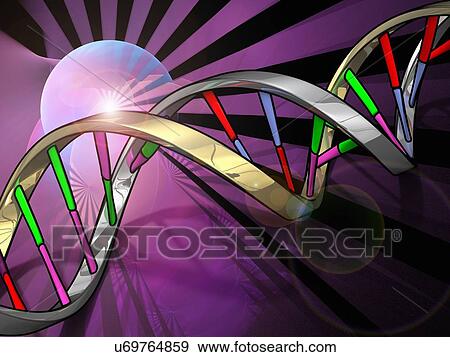 DNA (Deoxyribonucleic acid) strand, artwo View Large Illustration Stock Illustration - DNA (Deoxyribonucleic acid) strand, artwo. Fotosearch