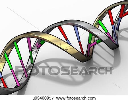 Stock Illustration - DNA (Deoxyribonucleic acid) strand, artwo. Fotosearch