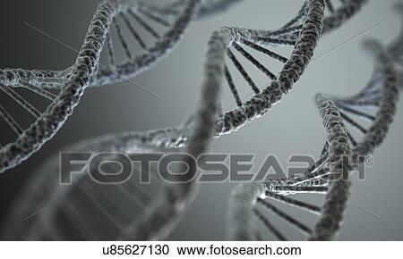 Clipart - DNA double helix, artwork. Fotosearch
