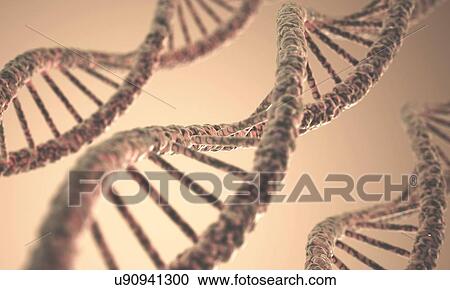 Clipart - DNA double helix, artwork. Fotosearch