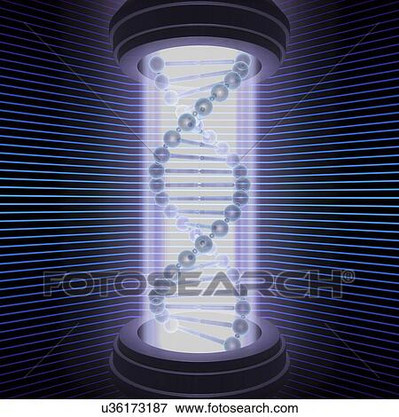 DNA double helix, artwork View Large Illustration Stock Illustration - DNA double helix, artwork. Fotosearch
