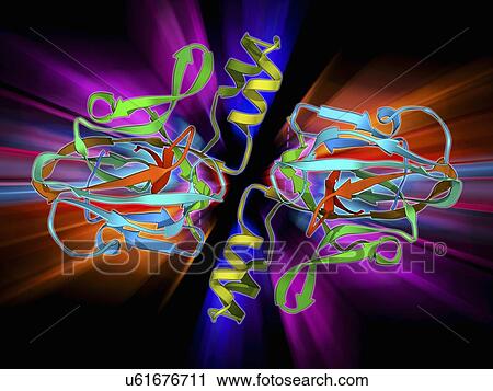 Clip Art - DNA gyrase protein segment. Fotosearch