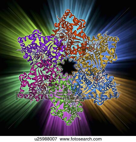 DNA helicase molecule View Large Illustration Stock Illustration - DNA helicase molecule. Fotosearch