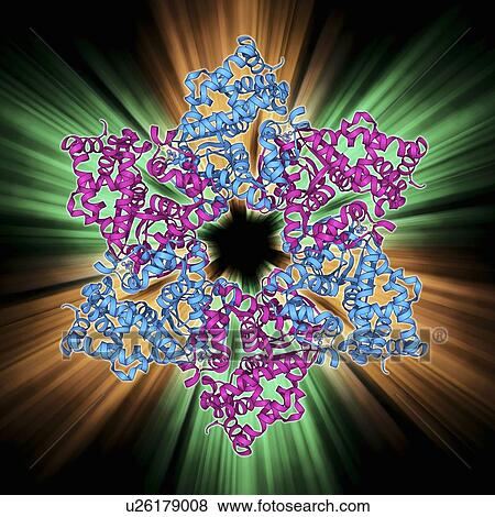 DNA helicase molecule View Large Illustration Stock Illustration - DNA helicase molecule. Fotosearch