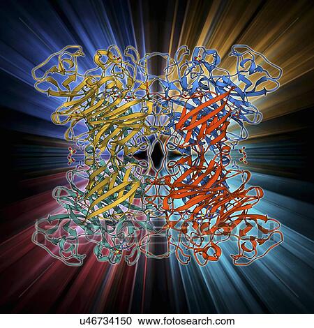 Clipart - E coli virulence factor molecule. Fotosearch