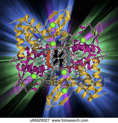 Stock Illustration - Ebola viral protein 35 and RNA. Fotosearch
