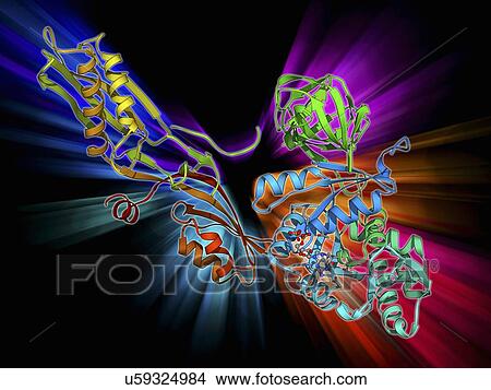 Stock Illustration - Elongation factor G. Fotosearch