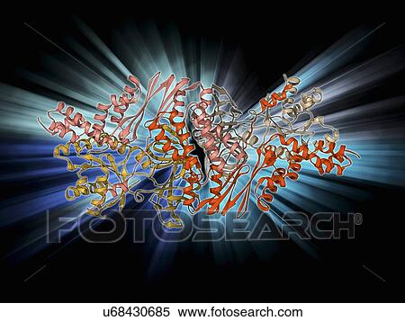Elongation factors Tu and Ts View Large Illustration Stock Illustration - Elongation factors Tu and Ts. Fotosearch