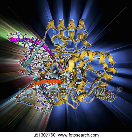 Clipart - Endonuclease IV molecule. Fotosearch
