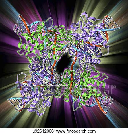 Stock Illustration - Enzyme catalysing DNA recombination. Fotosearch