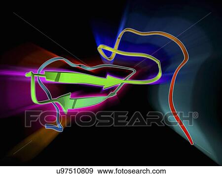 Stock Illustration - Epidermal growth factor molecule. Fotosearch