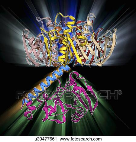 Clip Art - Escherichia coli heat-labile enterotoxin. Fotosearch