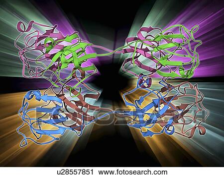 Clip Art - Eye lens protein molecule. Fotosearch