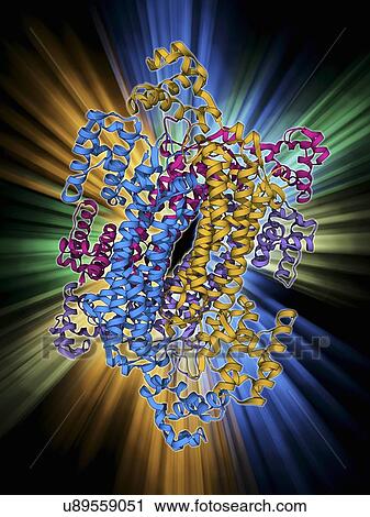 Clip Art - Eye lens protein molecule. Fotosearch