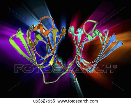 Eye lens protein molecule View Large Illustration Stock Illustration - Eye lens protein molecule. Fotosearch