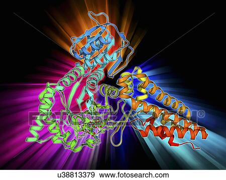 Family 84 glycoside hydrolase molecule View Large Illustration Stock Illustration - Family 84 glycoside hydrolase molecule. Fotosearch