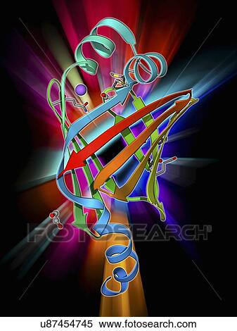 Stock Illustration - Fatty acid binding protein 9 molecule. Fotosearch