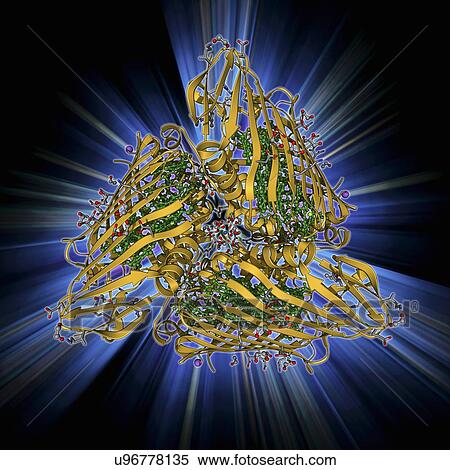 Stock Illustration - Fenna-Matthews-Olson complex molecule. Fotosearch