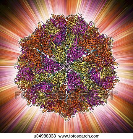 Flock house virus capsid View Large Illustration Stock Illustration - Flock house virus capsid. Fotosearch