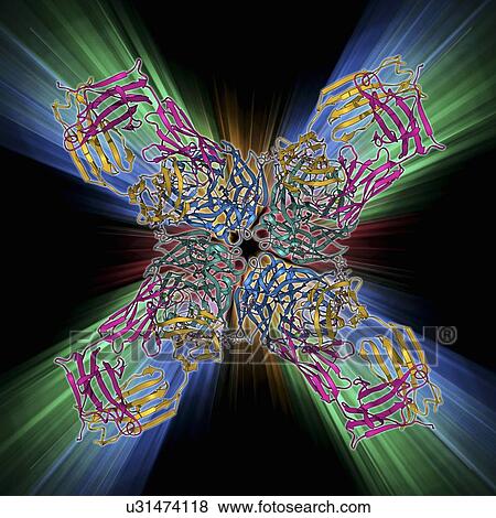Stock Illustration - Flu virus surface protein and antibody. Fotosearch
