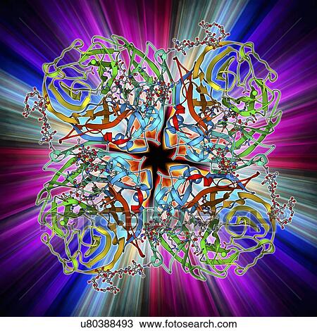 Flu virus surface protein molecule View Large Illustration Drawing - Flu virus surface protein molecule. Fotosearch