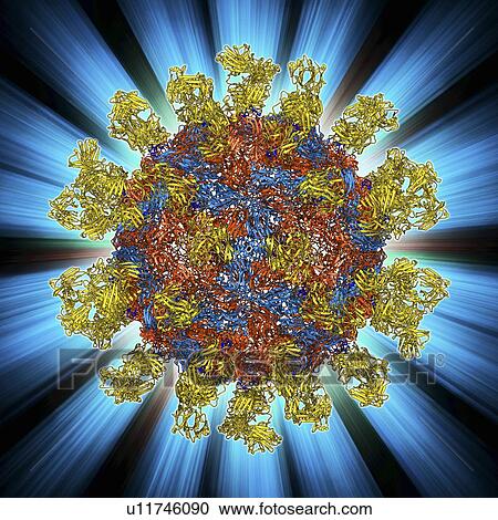 Clipart - Foot-and-mouth disease virus. Fotosearch