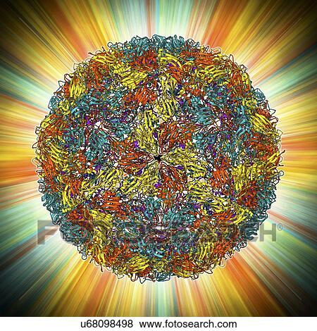 Stock Illustration - Foot-and-mouth disease virus. Fotosearch