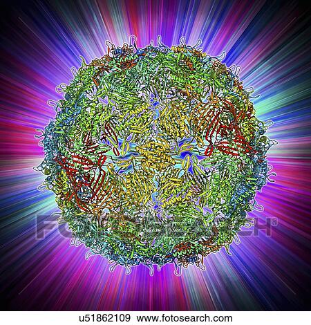Stock Illustration - GA bacteriophage capsid. Fotosearch
