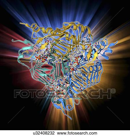 Galactoside acetyltransferase molecule View Large Illustration Drawing - Galactoside acetyltransferase molecule. Fotosearch