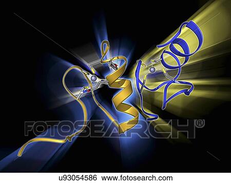 GATA transcription factor and zinc finger View Large Illustration Stock Illustration - GATA transcription factor and zinc finger. Fotosearch