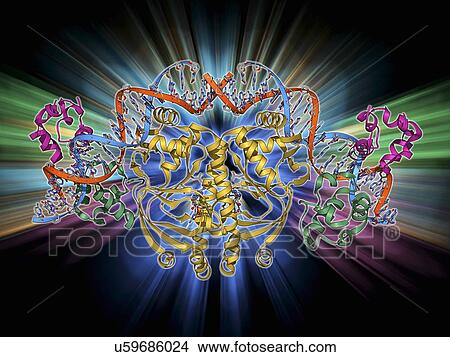 Gene activator protein View Large Illustration Stock Illustration - Gene activator protein. Fotosearch