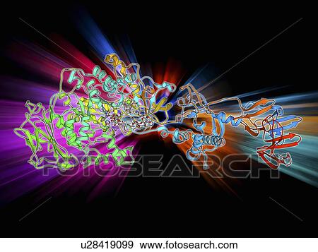 Stock Illustration - Glucansucrase enzyme molecule. Fotosearch