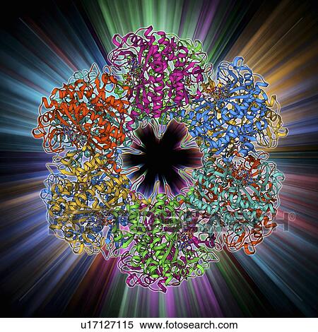 Stock Illustration - Glutamine synthetase enzyme. Fotosearch
