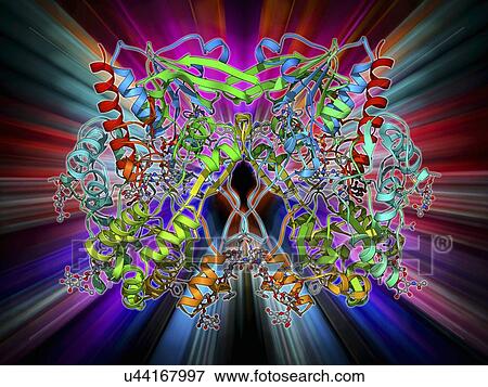 Glycogen phosphorylase molecule View Large Illustration Stock Illustration - Glycogen phosphorylase molecule. Fotosearch
