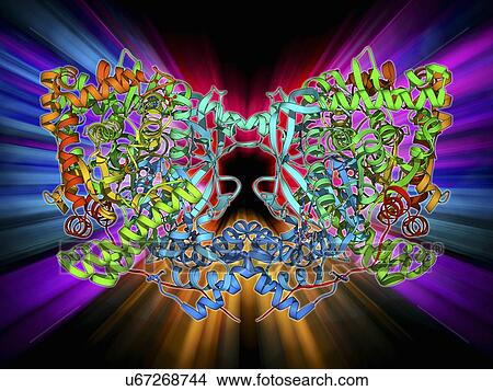 Stock Illustration - Glycogen phosphorylase molecule. Fotosearch