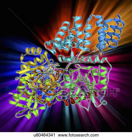 Clip Art - Glycosylation enzyme molecule. Fotosearch